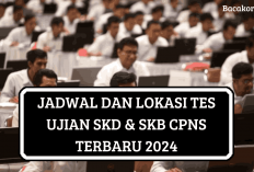 CPNS Wajib Catat! Inilah Jadwal dan Lokasi Tes SKD dan SKB Terbaru 2024