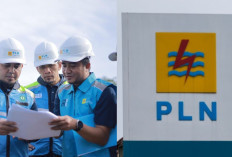 Kasus Pertamina Belum Kelar, PT PLN Terjerat Korupsi Rugikan Negara Rp1,2 Triliun Libatkan Proyek Mangkrak