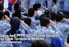 Kabar Gembira! Honorer yang Tidak Terdata di BKN Bisa Menjadi PPPK 2024 dan Mendapatkan NIP, Ini Rahasianya