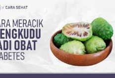 7 Cara Mengolah Buah Mengkudu Jadi Obat Diabetes, Dijamin Simple dan Lezat, Yuk Bunda Bikin Dirumah!