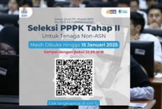 Pendaftaran PPPK Tahap 2 Diperpanjang Hingga 15 Januari 2025, Jangan Sampai Ketinggalan!