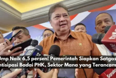 Ump Naik 6,5 persen! Pemerintah Siapkan Satgas Antisipasi Badai PHK, Sektor Mana yang Terancam?