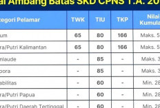 Jangan Kaget, Skor SKD Tinggi Tidak Menjamin Peserta ke Tahap SKB CPNS 2024, Ternyata Karena Hal ini