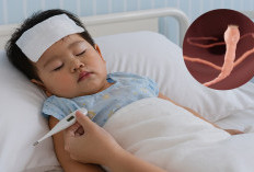 Bikin Merinding! Bocah 1,8 Tahun di Bengkulu Muntah Cacing, Dokter Temukan Larva di Paru!