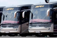 Heboh! Suasana Bus Jadi Sepi, PO Larang Putar Musik Gegara Aturan Royalti