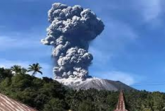 Cek! Update Terkini Gunung Ibu di Kabupaten Halmahera Barat Kembali Erupsi, Tinggi Kolom Abu Capai 700 Meter