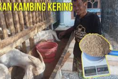 Info Ternak, 5 Manfaat Pakan Fermentasi untuk Kambing yang Jarang Diketahui, Apa Aja Ya? Cekidot!