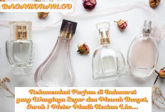 11 Rekomendasi Parfum di Indomaret yang Wanginya Segar dan Mewah Banget, Jarak 1 Meter Masih Kecium Nih... 