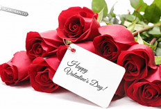 Apakah Harus selalu Mawar?  Bunga Valentine yang Manis dan Bermakna untuk Kekasih Anda
