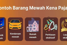 Daftar Kategori Barang Mewah yang Kena Keikan Pajak PPN 12 Persen 2025