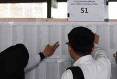 Intip Yuk! Daftar 10 Instansi yang Paling Banyak Menggugurkan Pelamar CPNS 2024, Sudah Tau?