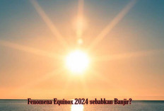 Fenomena Equinox 2024 sebabkan Banjir? Apa Pengaruhnya terhadap Perubahan Iklim di Indonesia?