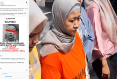 Netizen Sebut Meita Irianty Ngadu ke Bekingan Anggota DPR, KPAI: Penyiksa Balita Harus di Tindak Profesional!