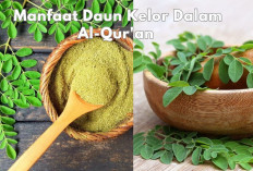 Mengungkap 5 Manfaat Daun Kelor Dalam Al-Qur'an yang Harus Kamu Ketahui, Apa Saja?