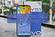 Spesifikasi Vivo Y51A dengan RAM Besar 8GB Dan Chipset Snapdragon 662, Tertarik?
