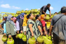 Awasi Ketat LPG 3 kg, Pemerintah Mau Bentuk Badan Khusus! Beli Makin Ribet?