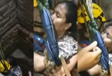 Detik-Detik Menegangkan! Proses Evakuasi Wanita Tercebur ke Sumur di Cilegon