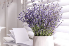 5 Rekomendasi Tanaman Hias Tahan Panas, Cocok untuk Hunian Tropis! 