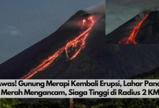 Waspada! Gunung Merapi Kembali Erupsi, Lahar Panas Merah Mengancam, Siaga Tinggi di Radius 2 KM