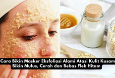 3 Cara Bikin Masker Eksfoliasi Alami Atasi Kulit Kusam, Bikin Mulus, Cerah dan Bebas Flek Hitam