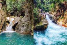 5 Penginapan Alam di Bogor yang Cocok untuk Healing Bareng Keluarga, Instagramable dan Menenangkan 