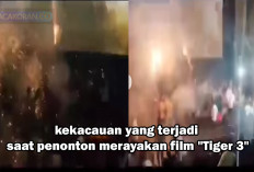Tragedi Film Perdana India Tiger 3 Di Bioskop, Berubah Menjadi Kacau Balau, Apa Penyebabnya?