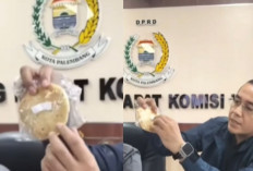 Keracunan MBG di SMPN 31 Palembang, DPRD Bongkar Roti Kedaluwarsa Ditutupi Label Baru: Masalah Nyawa Ini!