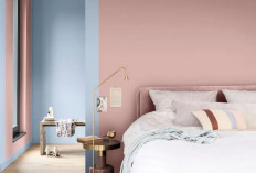 5 Rekomendasi Cat Warna Pastel yang Bikin Kamar Tidur Minimalis Jadi Estetik dan Cozy!