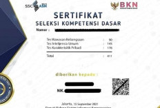 Cara Mudah Mengatasi Kendala Sertifikat SKD CPNS 2024 yang Tidak Muncul, Yuk Praktekan Sekarang!