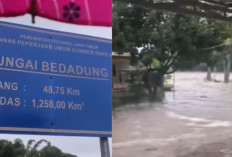 Banjr dan Longsor Terjang Jember Akibat Luapan Sungai Bedadung, 1.271 Keluarga Terdampak