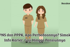 PNS dan PPPK, Apa Bedanya? Cari Tahu Info Gaji, Karier dan Pensiun di Sini!