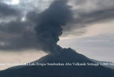 Lagi, Gunung Lewotobi Laki-Laki Erupsi, Semburan Abu Vulkanik Setinggi 1.000 Meter, Warga di Himbau Waspada!