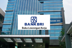 KABAR BAIK, Rekrutmen BUMN di Bank BRI Program BRILiaN Banking Officer Batch 3 Dibuka, Yuk Segera Daftar