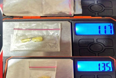 Tangkap Pengedar  Narkoba di Desa Kepur, Polisi Sita Sabu dan Pil Ekstasi