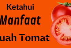 Keajaiban Makan Tomat Tanpa Diolah, Manfaat dan Efek Positifnya untuk Kesehatan Tubuh juga Kulit!