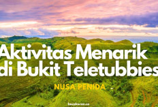 5 Aktivitas Menarik di Bukit Teletubbies Nusa Penida, Liburan Makin Seru Auto Gak Mau Pulang Guys... 