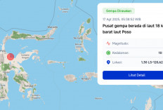 Poso Diguncang Gempa Magnitudo 6,0, BMKG: Waspada Susulan!