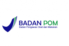 Segera Daftar! Pendaftaran PPPK BPOM 2024 Masih Dibuka, Ini Formasi dan Caranya