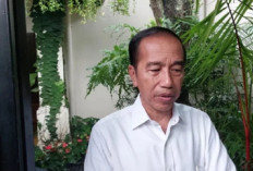 Jokowi Buka Suara Soal Anggaran Pembangunan IKN Diblokir Oleh Menkeu Sri Mulyani, komunikasi dengan Pak Bas