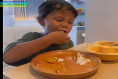 Moms Wajib Tahu! Ini Cara Efektif Untuk Mengajarkan Anak Tentang Kemandirian Dalam Belajar Dan Makan