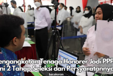 Pengangkatan Tenaga Honorer Jadi PPPK Pada Desember 2024, Pemerintah Tetapkan 2 Tahap Seleksi dan Syaratnya!