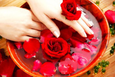 Berikut 7 Fakta Unik dari Bunga Mawar, Nomor 5 Jarang Ada yang Tau! Simak Disini
