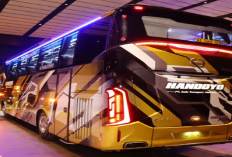 Ayok Liburan! Buruan Pilih Tempat Wisata Favorit Kamu, Mumpung Bus Handoyo Sedang Ngadain Promo...