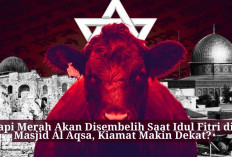 Sapi Merah Akan Disembelih Saat Idul Fitri di Masjid Al Aqsa, Kiamat Makin Dekat?