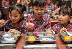 Program Makan Bergizi Gratis 2026: Anggaran Rp24 Triliun Dipastikan Tak Ganggu Kemenkes dan Pendidikan