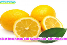 Rahasia Segar Sehari-hari Memaksimalkan Manfaat Buah Lemon dalam Kehidupan anda