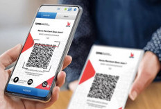 Makin Gacor, 5 List Negara yang Sudah Bisa Akses QRIS, Liburan Makin Asik!