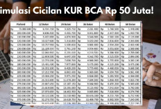 Simulasi Cicilan KUR BCA Rp 50 Juta, Bunga Rendah & Angsuran bisa Sampai 60 Bulan, Yuk Ajukan Sebelum Ditutup!