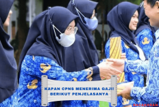 Jangan Bingung! Ini Jadwal Gaji Pertama Setelah Lolos CPNS, Yuk Simak Selengkapnya