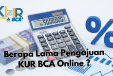 Berapa Lama Pengajuan KUR BCA Online? Cek Proses, Syarat dan Cara Cepat Disetujui Disini!
